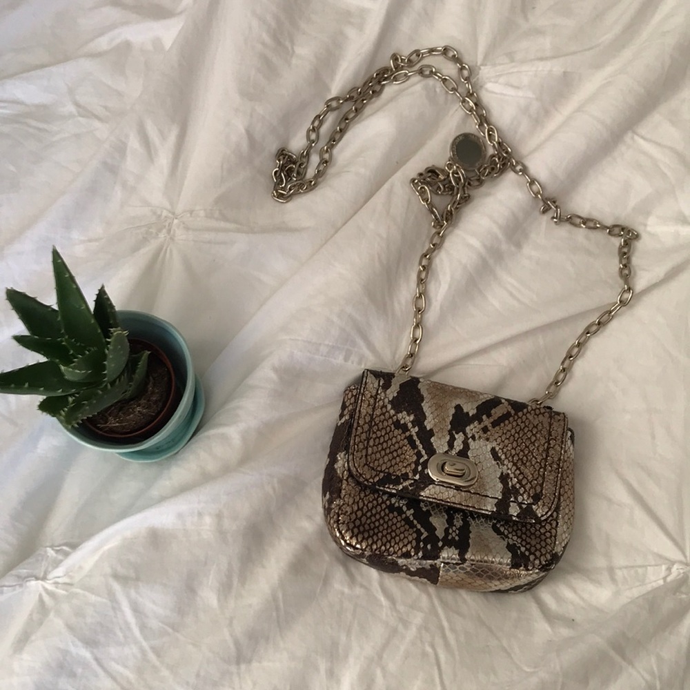 Snakeskin print meatallic crossbody